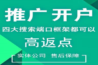 sem百度竞价成功案例：如何精准投放广告